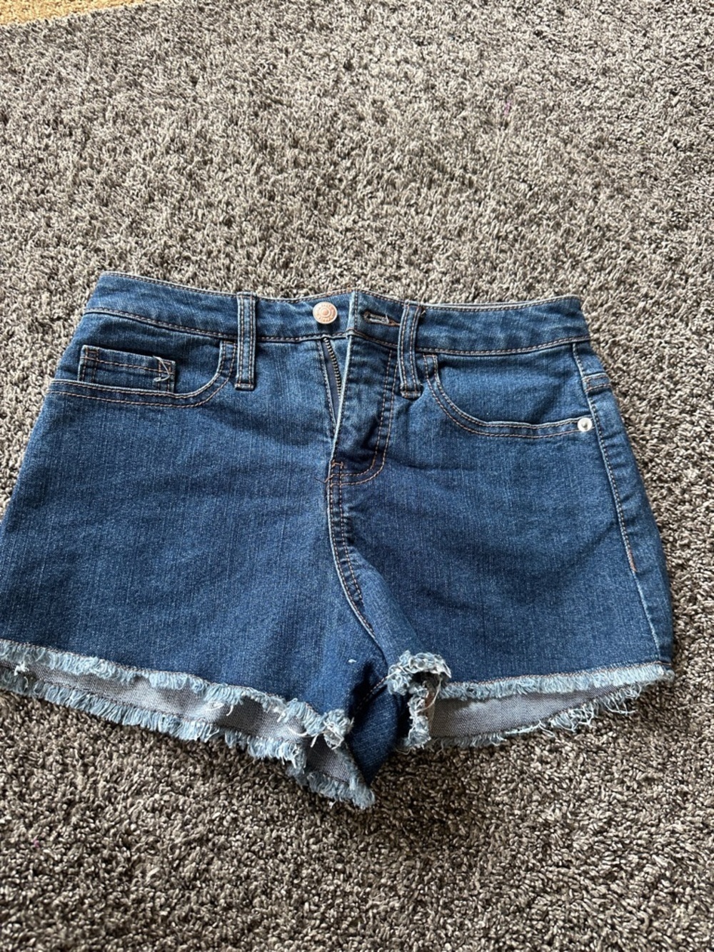 Woman’s size 26 Wild Fable Dark Blue Frayed Denim Summer Shorts